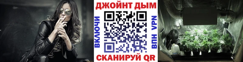 Канабис Белокуриха