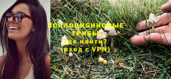 каннабис Алексеевка