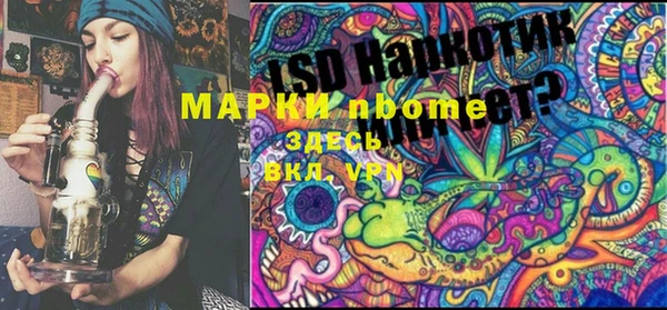 мет Алексин