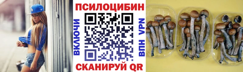 Псилоцибиновые грибы MAGIC MUSHROOMS  Белокуриха 