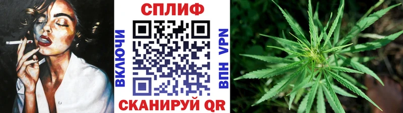 Марихуана гибрид  KRAKEN зеркало  Белокуриха 